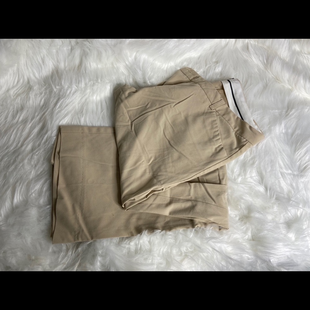 The Limited Dress Pants